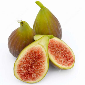 Fico carica Dalmatie (Blanche Navello – San Pietro)