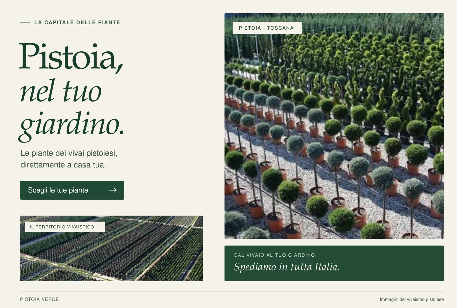 Veduta di piante in vaso nel distretto vivaistico pistoiese.